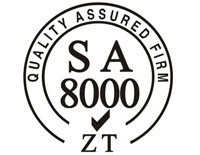 阜新SA8000社會責任管理體系認證